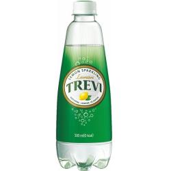 롯데)트레비레몬500ML