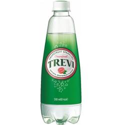 롯데)트레비자몽500ML