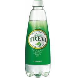 롯데)트레비라임500ML