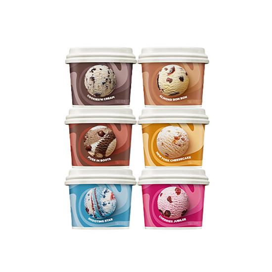 배스킨라빈스 배스킨라빈스 NEW 블록팩 (170ml) 6개 SET