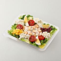 크랜베리 치킨 리코타 샐러드